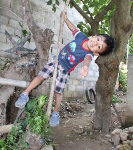 A boy playing on a small tree