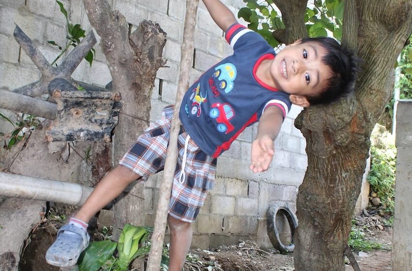 A boy playing on a small tree